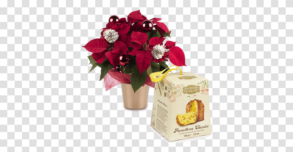Deliver A Poinsettia And Panettone Surprise Floraqueen Christmas Day, Plant, Flower Bouquet, Flower Arrangement, Blossom Transparent Png