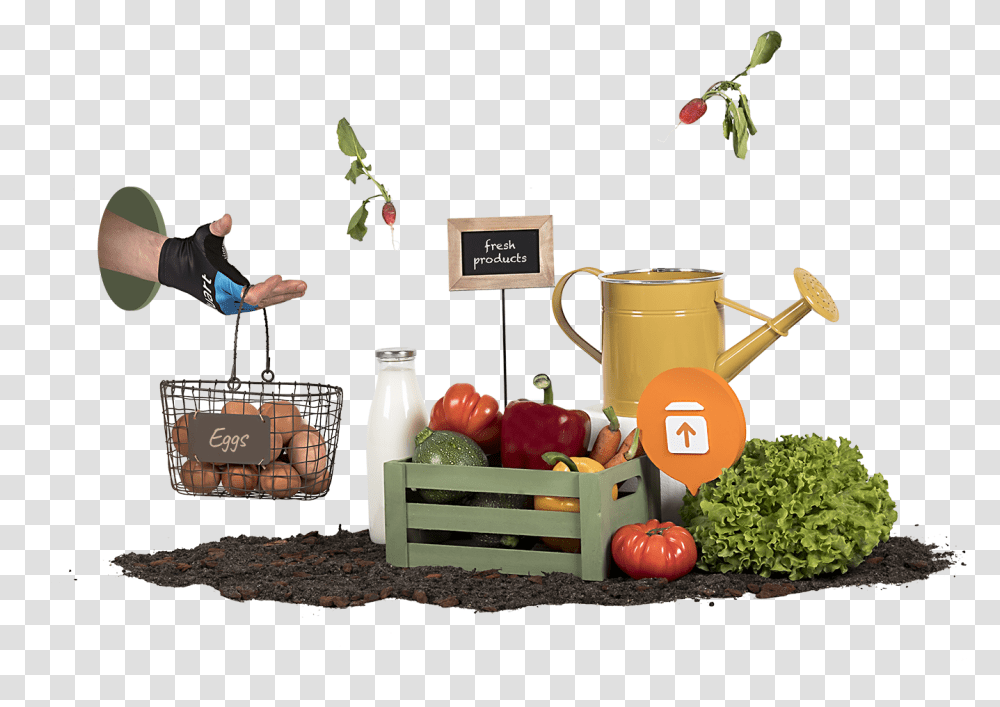 Deliveries For Grocery Chains And Supermarkets, Person, Human, Plant, Can Transparent Png