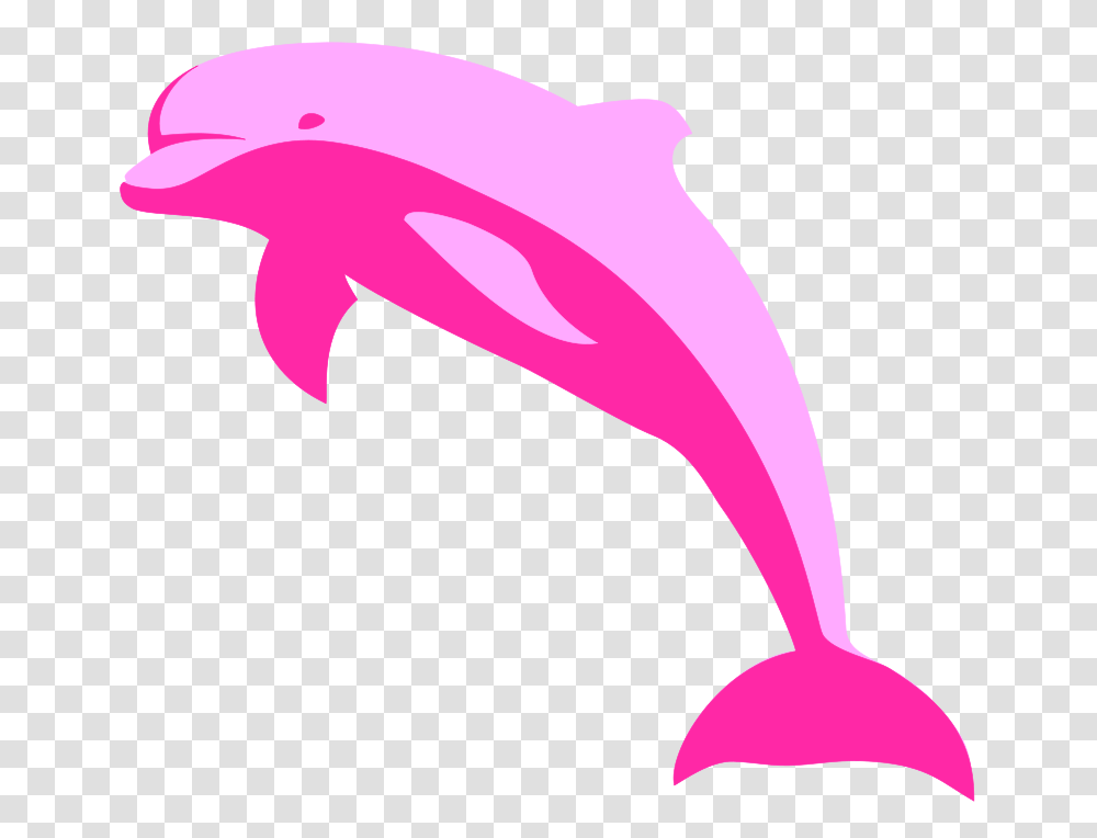 Delphin Delfin Dolphin, Animals, Mammal, Sea Life, Axe Transparent Png