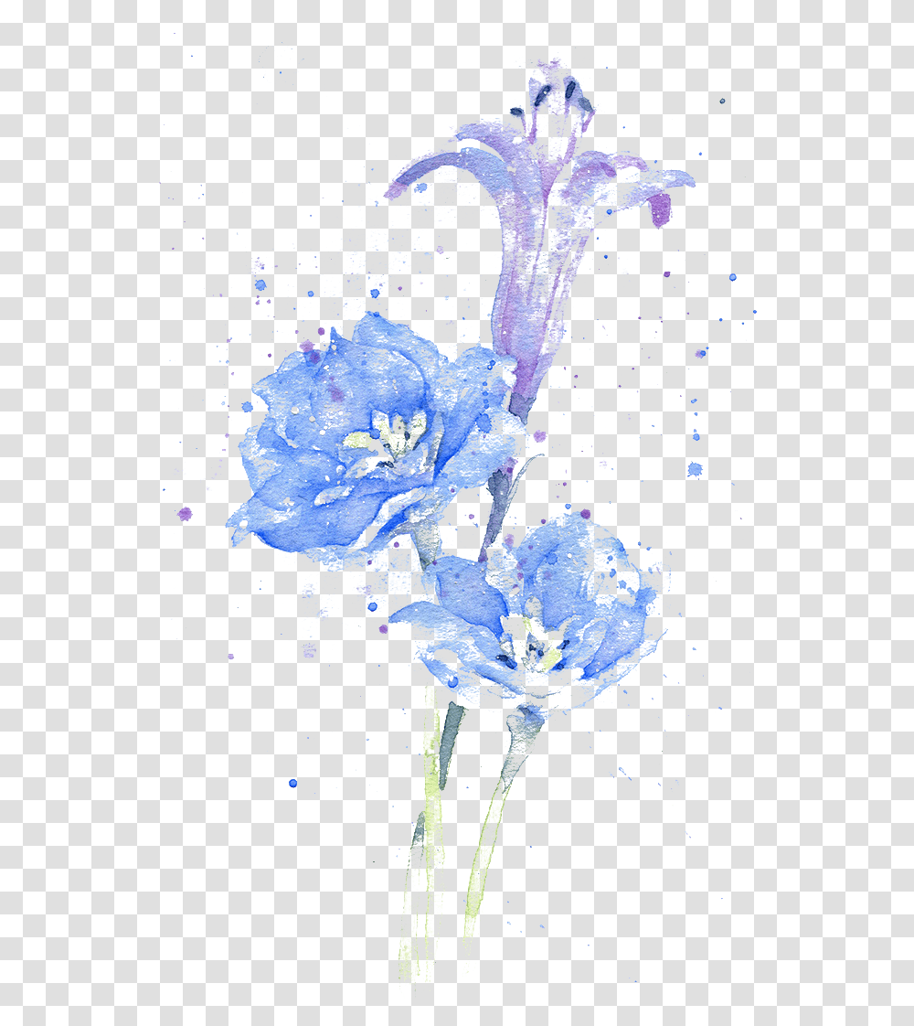 Delphinium Drawing Watercolor Water Paint Plant, Geranium, Flower, Blossom, Petal Transparent Png
