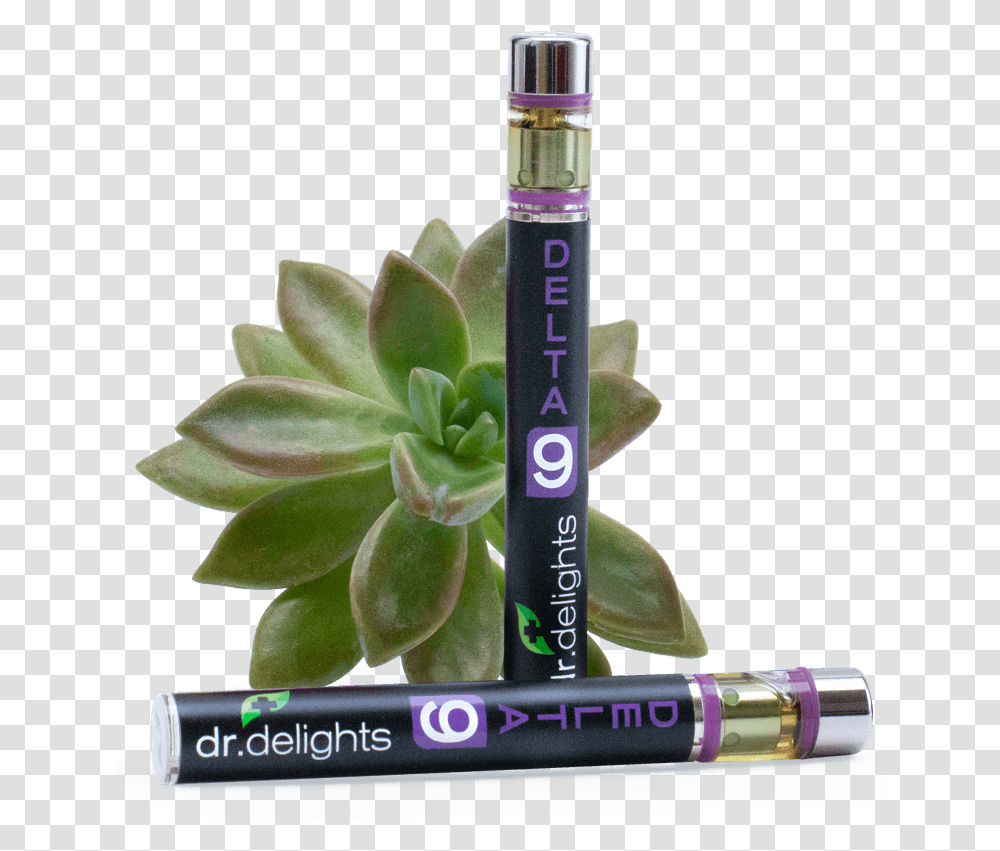 Delta 9 Thc Vape Pens By Dr Perfume, Cosmetics Transparent Png