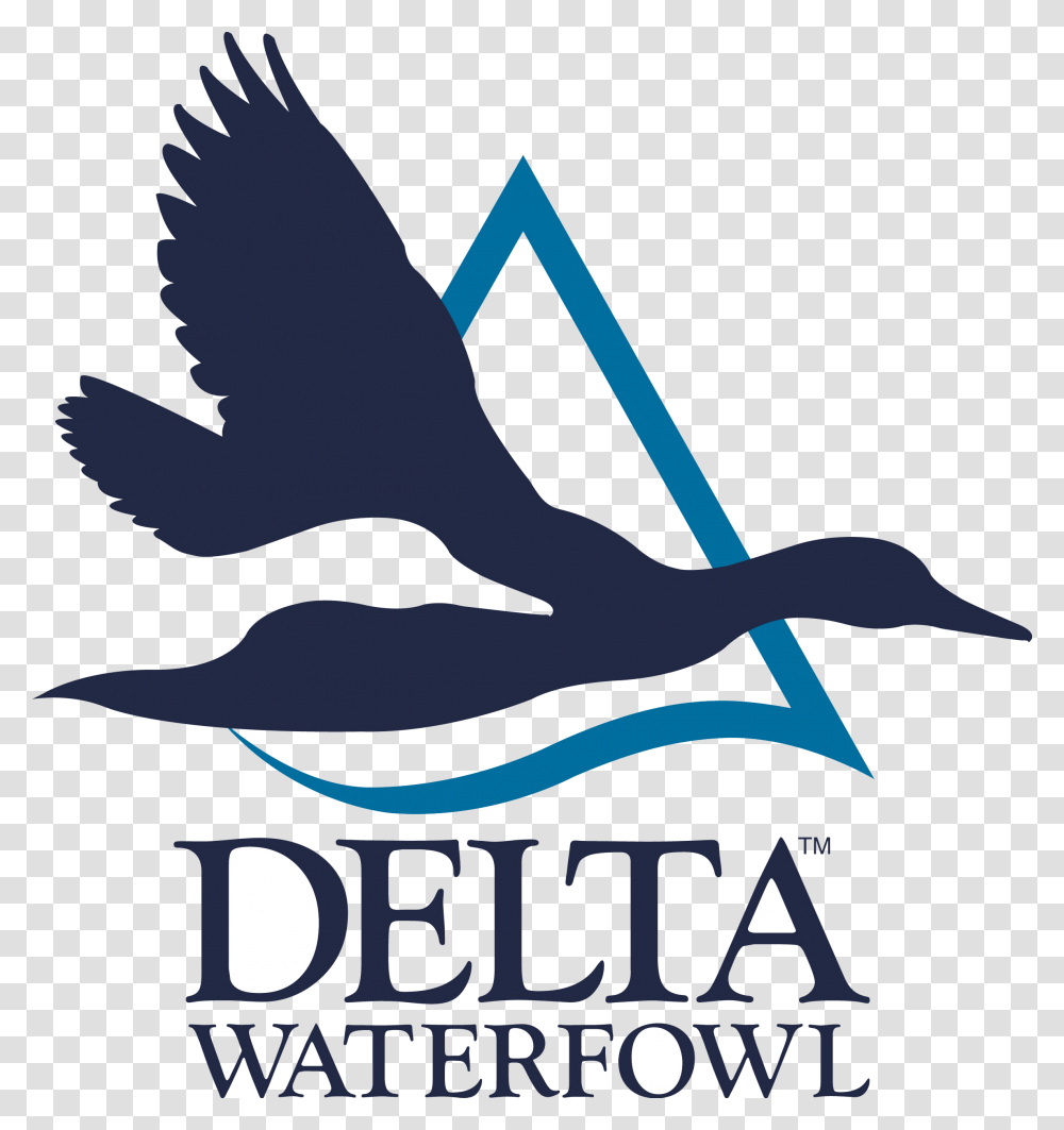 Delta Waterfowl Logo, Advertisement, Poster, Flyer, Paper Transparent Png