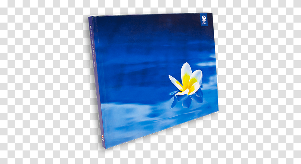 Deluxe Journal Plumeria Flower Crocus, LCD Screen, Monitor, Electronics, Display Transparent Png