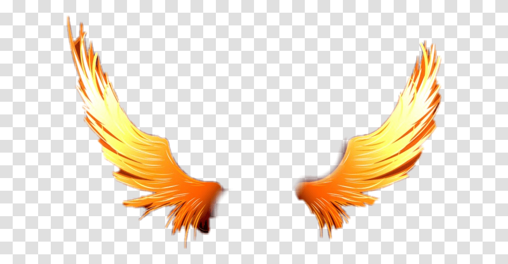 Demon Wing Wings On Fire, Animal, Bird, Eagle Transparent Png