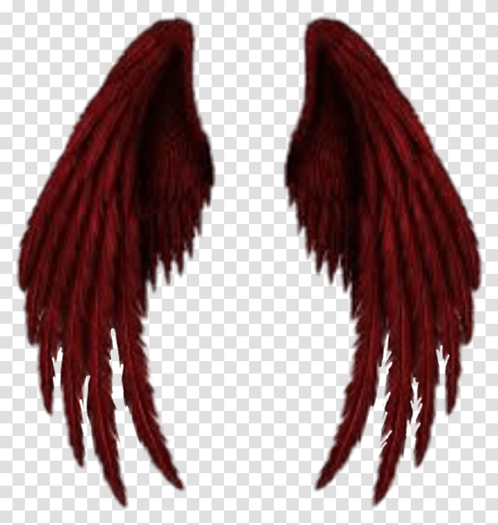 Demon Wings Angel Of Death Wings, Apparel, Accessories, Accessory Transparent Png