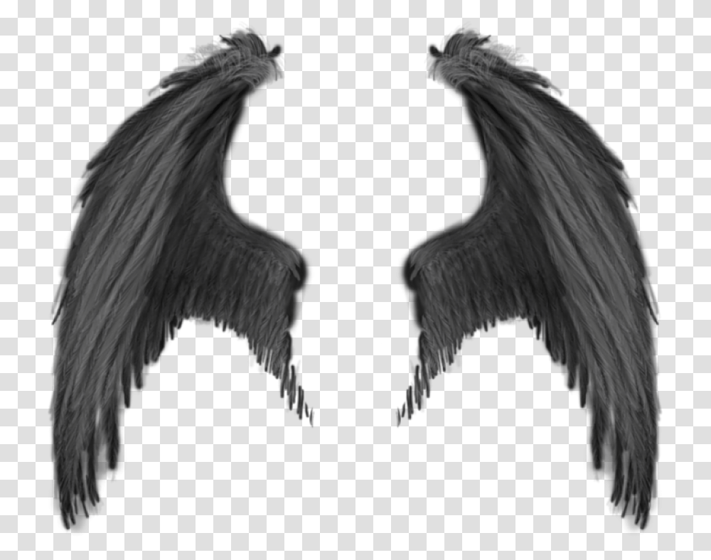 Demon Wings, Bird, Animal, Chicken Transparent Png