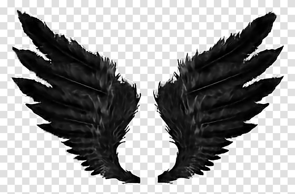 Demon Wings Black Angel Wings, Eagle, Bird, Animal, Flying Transparent Png