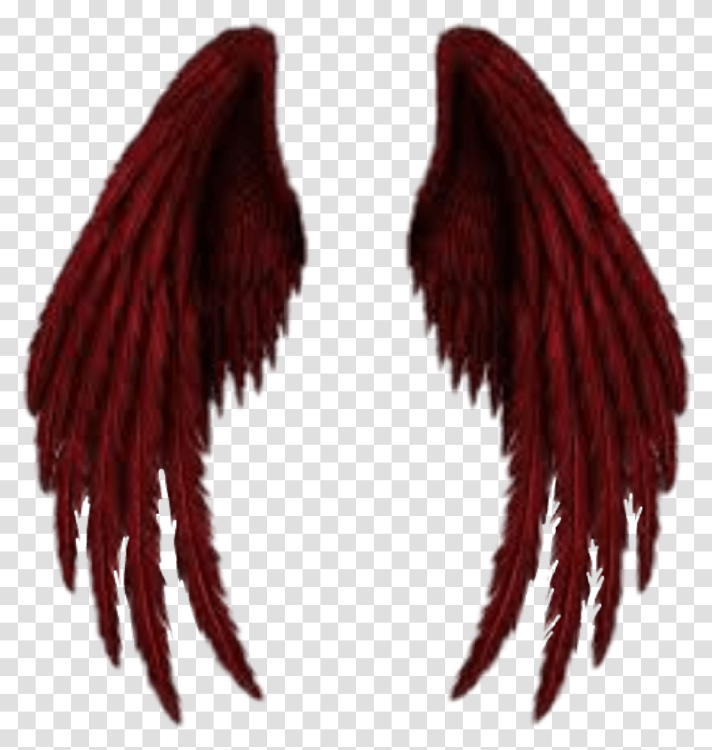 Demon Wings Demonic Demon Wings, Apparel, Accessories, Accessory Transparent Png