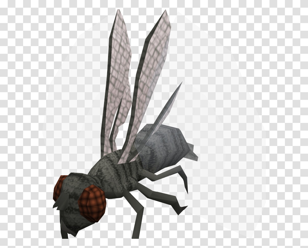 Demonic Giant Flies Pathfinder, Insect, Invertebrate, Animal, Wasp Transparent Png