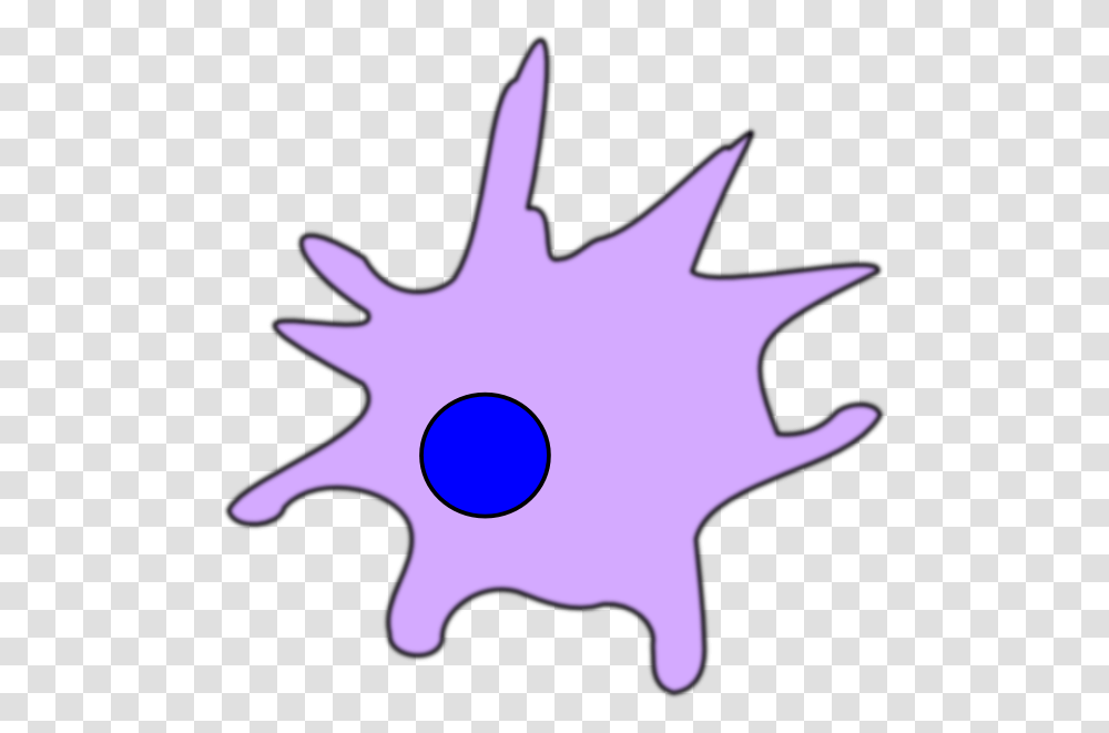 Dendritic Cell Clip Art, Leaf, Plant, Tree, Axe Transparent Png