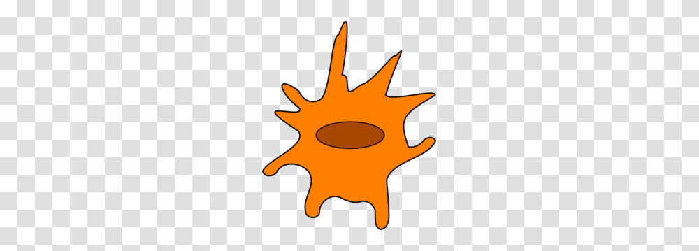 Dendritic Cell With Presentation Clip Art, Fire, Flame, Leaf, Plant Transparent Png