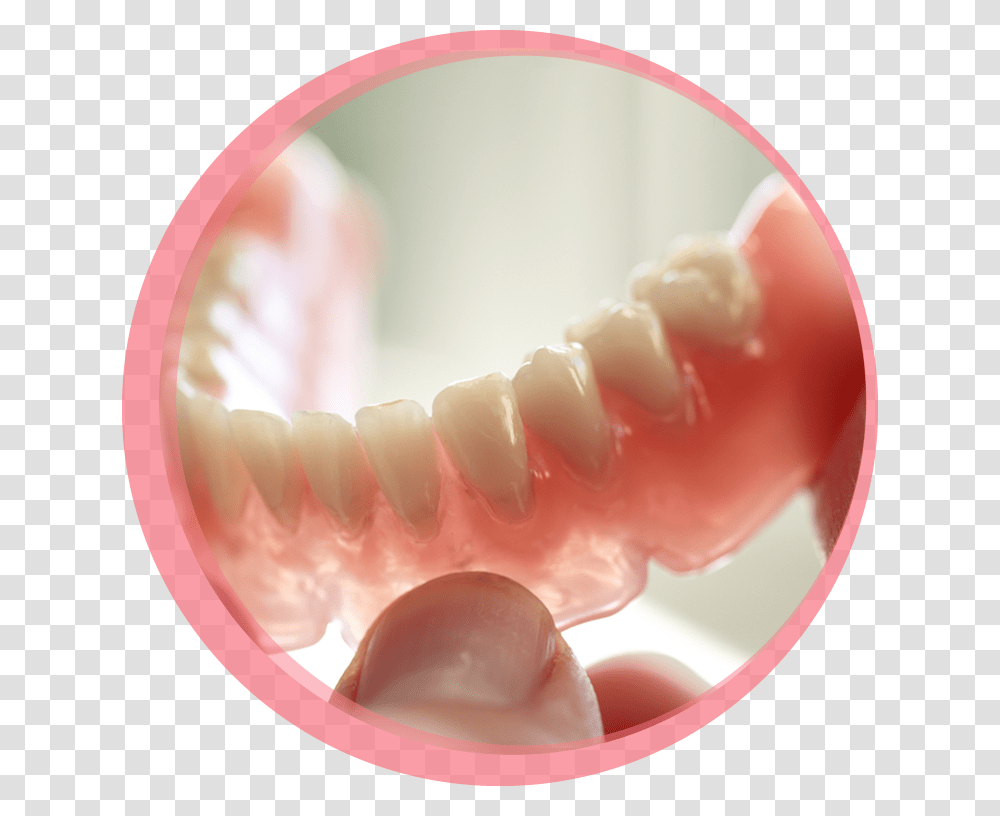 Dental 3d Printing Market, Teeth, Mouth, Lip, Jaw Transparent Png