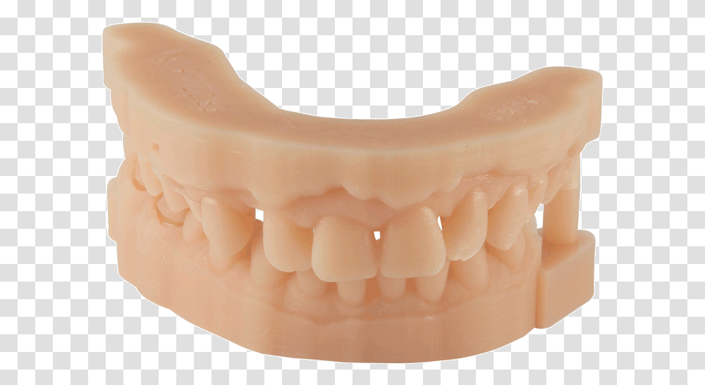 Dental D Material Prodways 3d Printed Dental Model, Teeth, Mouth, Lip, Jaw Transparent Png