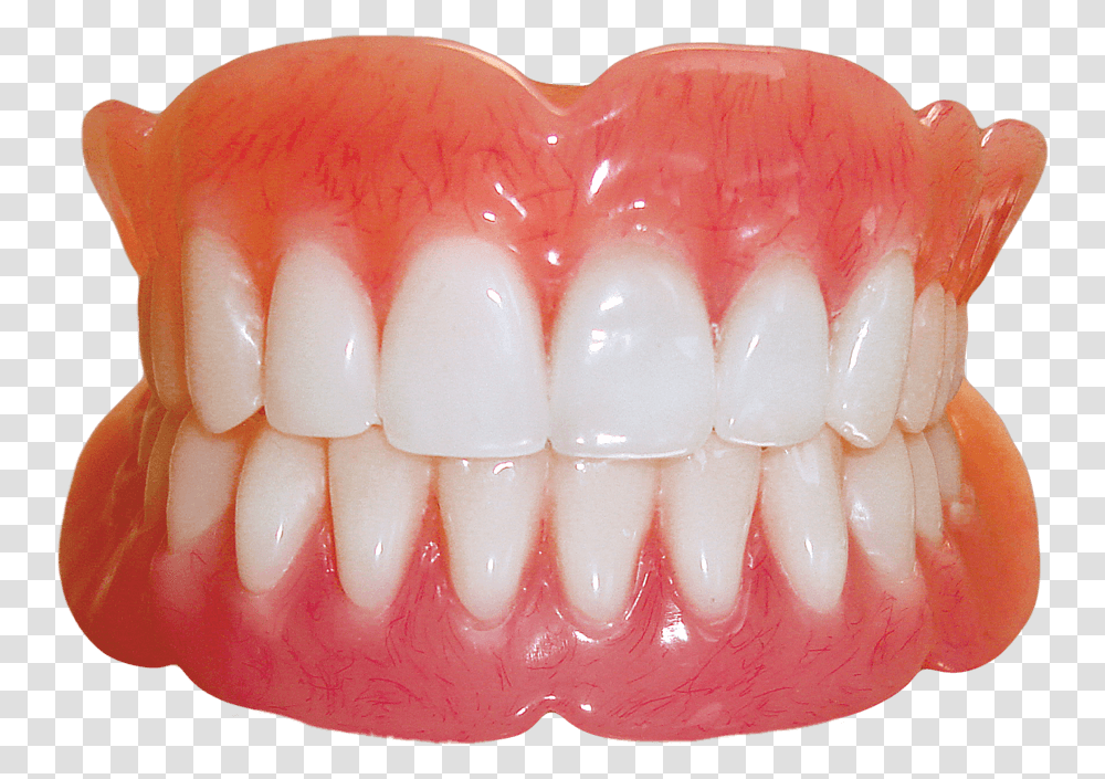 Dental Product Photo Teeth Dentures, Jaw, Mouth, Lip, Egg Transparent Png