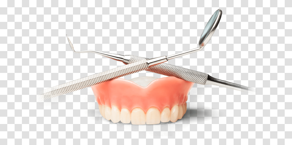 Dentist Dentistry, Jaw, Teeth, Mouth, Lip Transparent Png