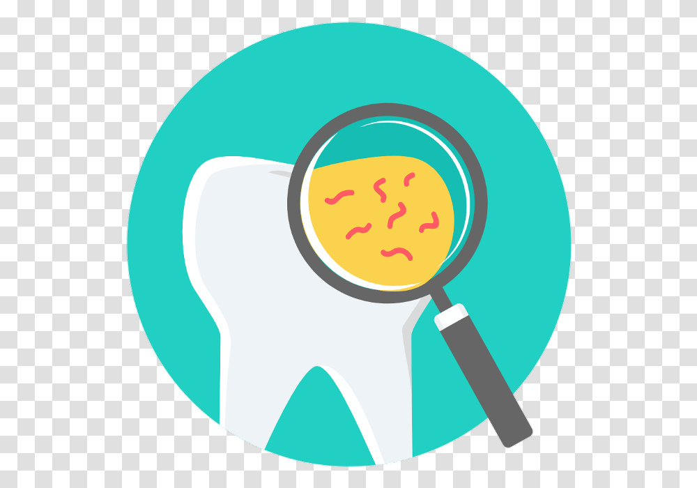 Dentist Tooth Circle, Magnifying Transparent Png