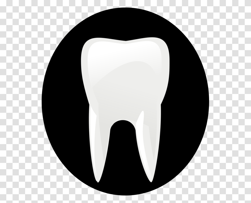 Dentistry Human Tooth Dental Hygienist, Pottery, Jar, Cushion, Mammal Transparent Png