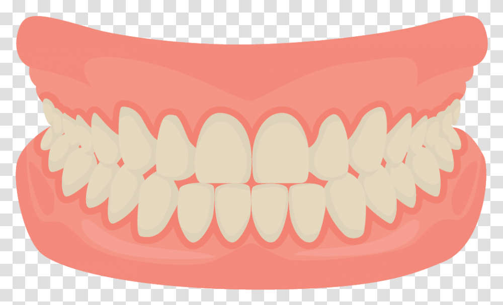 Dentures Mouth Teeth Cartoon, Lip, Jaw, Rug Transparent Png