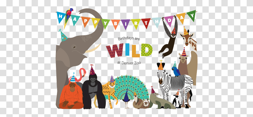 Denver Birthday Party Ideas With Adventure Birthday Party Animal, Zebra, Wildlife, Mammal, Circus Transparent Png