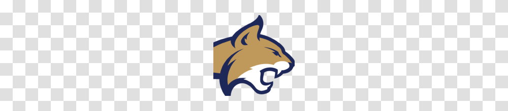 Denver Broncos, Mammal, Animal, Rodent, Sea Life Transparent Png