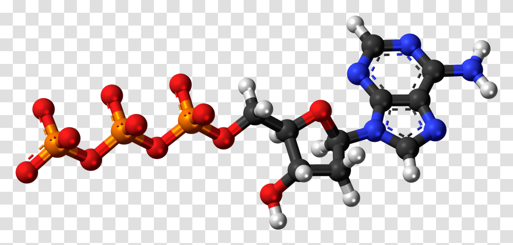 Deoxyadenosine Triphosphate Anion 3d Balls Adenosine Triphosphate 3d Model, Toy, Robot, Rattle, Sphere Transparent Png