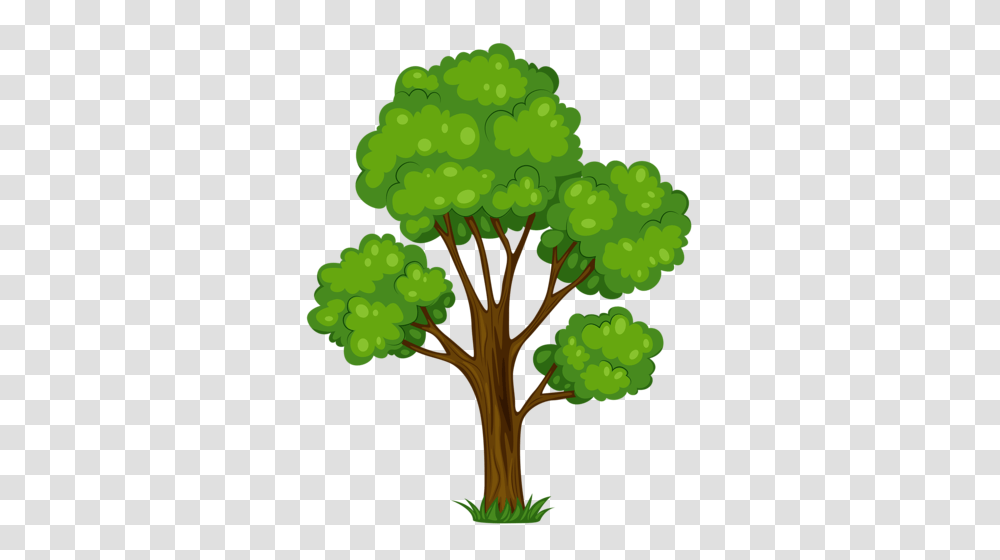 Derevia Albom Trees Clip Art Tree Clipart, Plant, Root, Grapes, Fruit Transparent Png