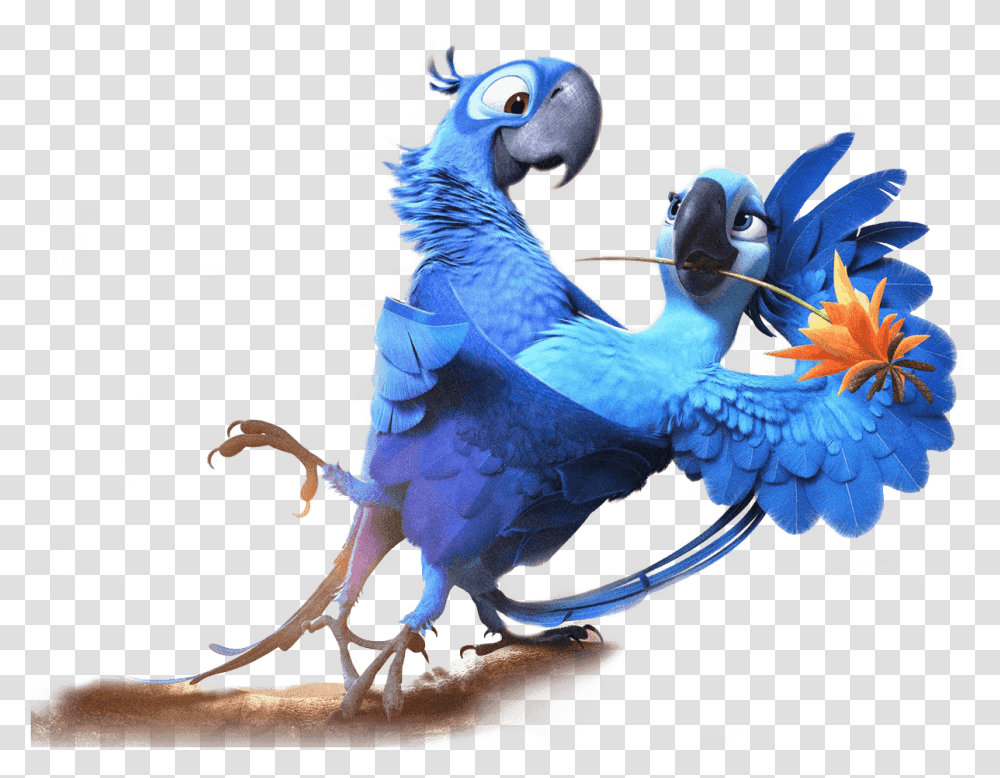 Desenho Arara Azul Filme Rio, Animal, Bird, Parrot, Bluebird Transparent Png