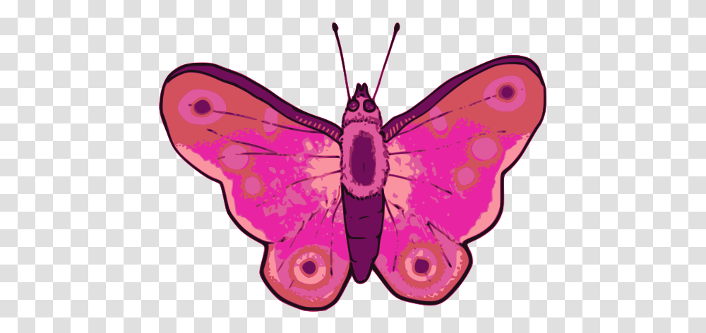 Desenho De Borboletas Rosa, Invertebrate, Animal, Insect, Butterfly Transparent Png
