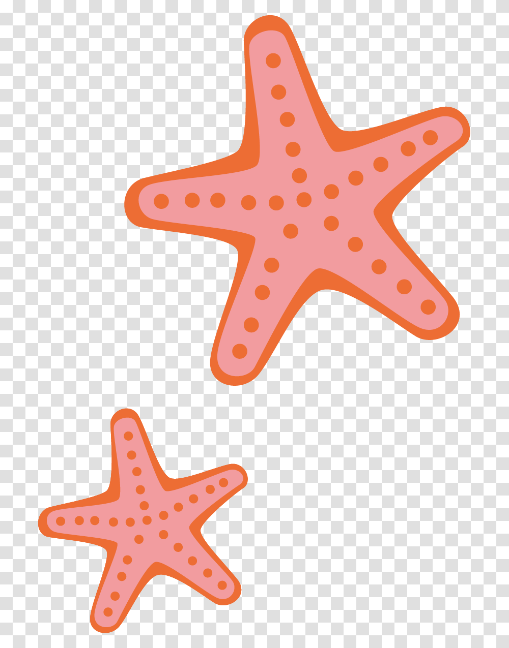 Desenho De Estrela Do Mar Cartoon, Starfish, Invertebrate, Sea Life, Animal Transparent Png