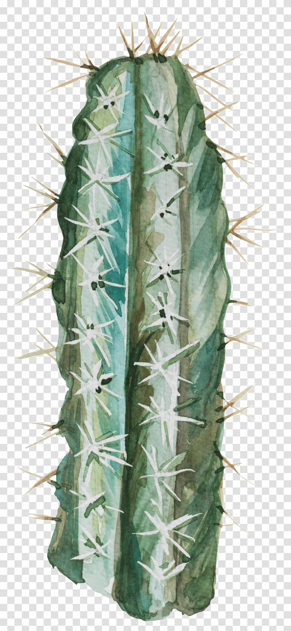 Desert Bushes San Pedro Cactus, Plant, Pineapple, Fruit, Food Transparent Png