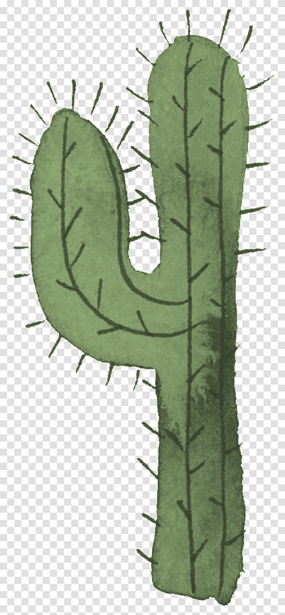 Desert Cactus Acanthocereus Tetragonus, Plant, Alphabet, Bib Transparent Png