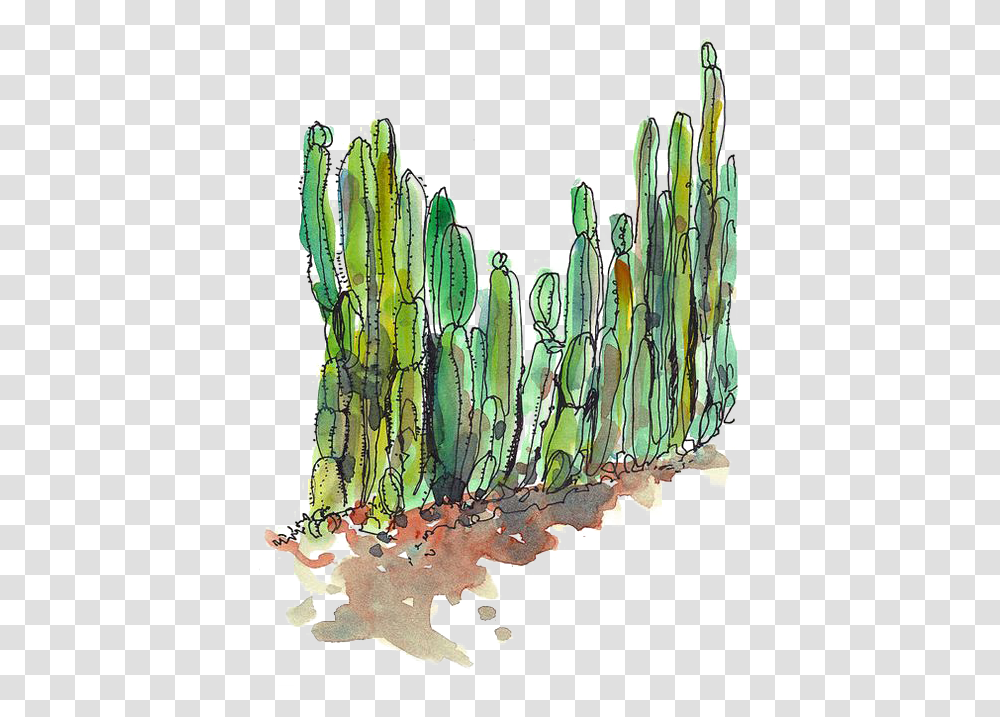 Desert Cactus Cactus, Plant, Banana, Fruit, Food Transparent Png