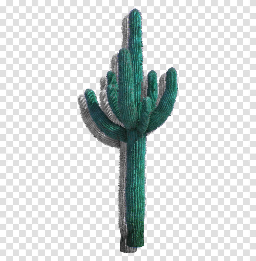 Desert Cactus Download Acanthocereus Tetragonus, Plant Transparent Png
