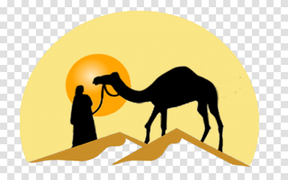 Desert Camel Desert Camel Images, Person, Human, Mammal, Animal Transparent Png