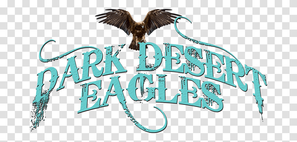 Desert Eagle, Bird, Animal, Bald Eagle Transparent Png
