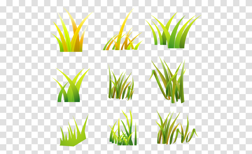 Desert Grass Vector Download, Green, Plant Transparent Png