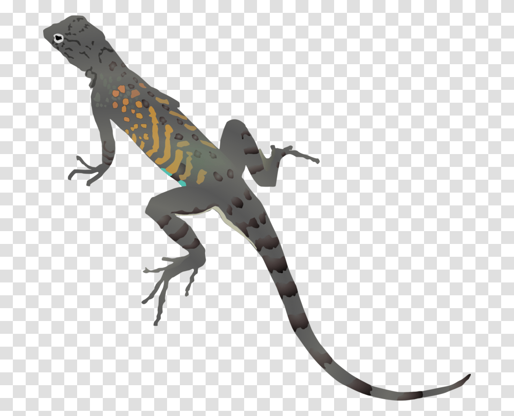 Desert Horned Lizard Chameleons Common Iguanas Vertebrate Free, Gecko, Reptile, Animal Transparent Png