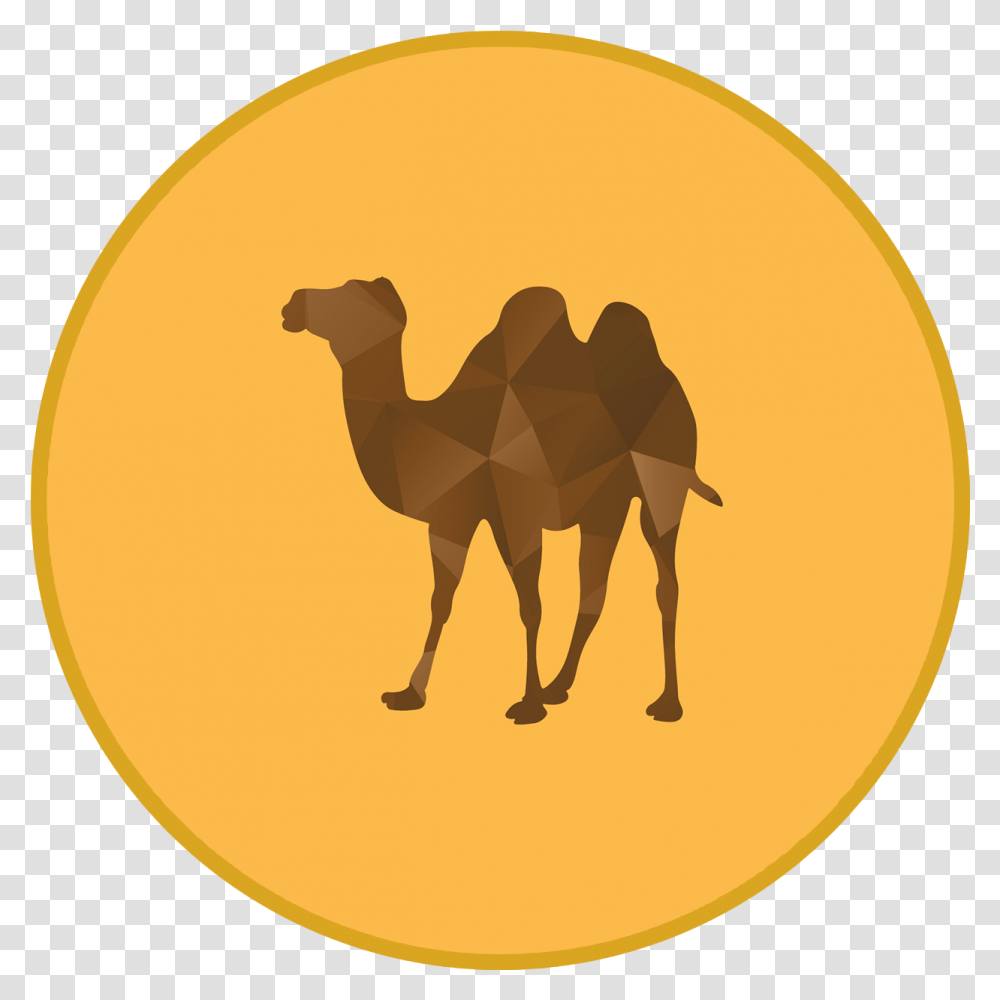 Desert Oasis Clipart Camel, Mammal, Animal Transparent Png