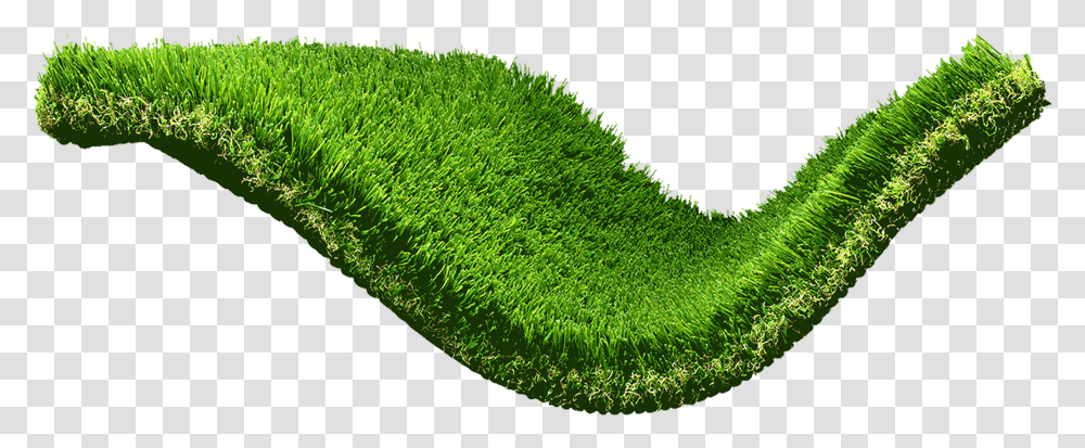 Desert Oasis Wavy Green Artificialsynthetic Grassturf Lawn, Moss, Plant, Algae, Outdoors Transparent Png