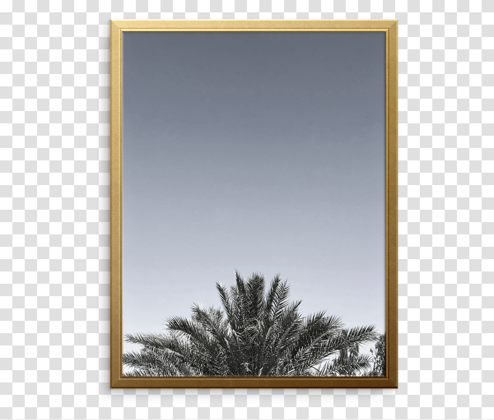 Desert Palm Art Print Cypress Family, Mirror, Plant, Tree, Door Transparent Png