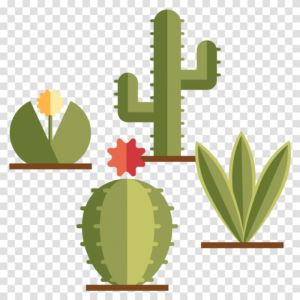 Desert Plant Cacto Minimalista, Cactus, Cross, Leaf Transparent Png