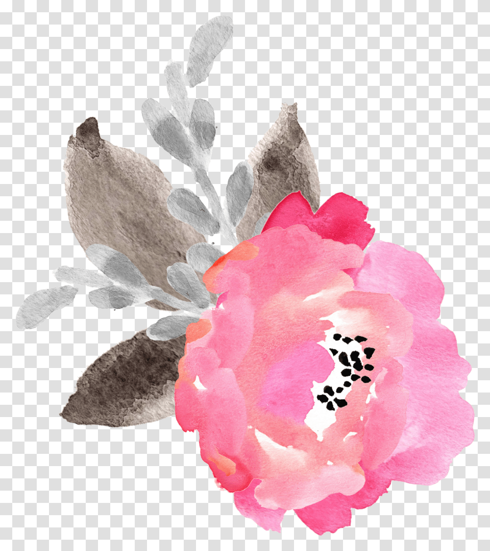 Desert Rose, Plant, Flower, Blossom, Petal Transparent Png