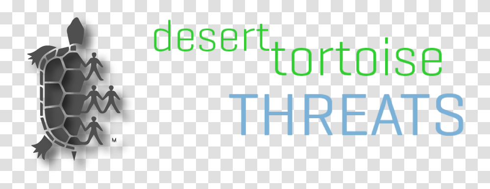Desert Toroise Preserve Committee Inc Graphics, Number, Word Transparent Png