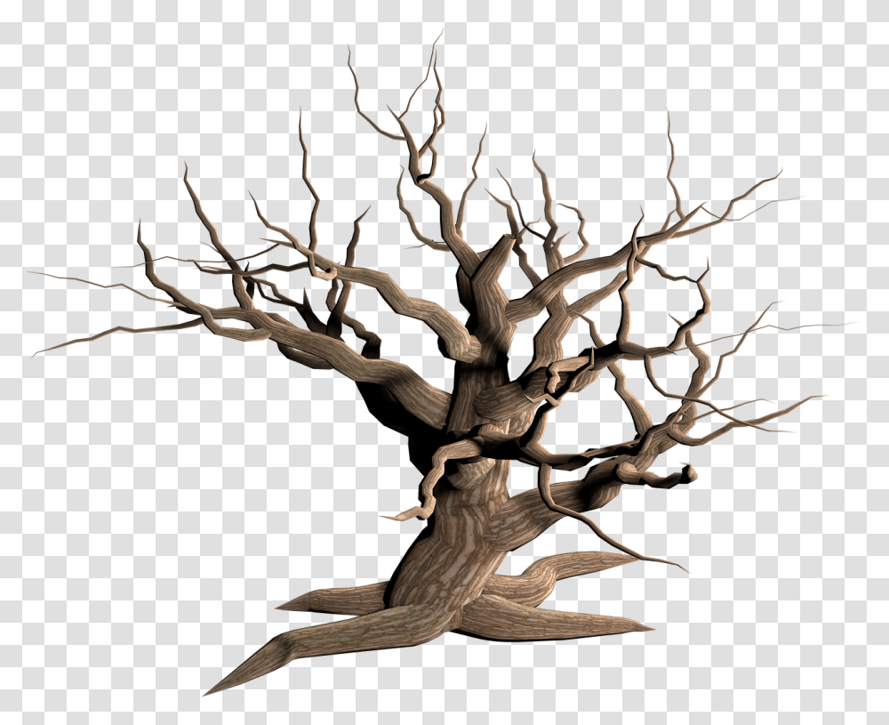 Desert Tree Background Dry Tree, Plant, Wood, Root, Tree Trunk Transparent Png