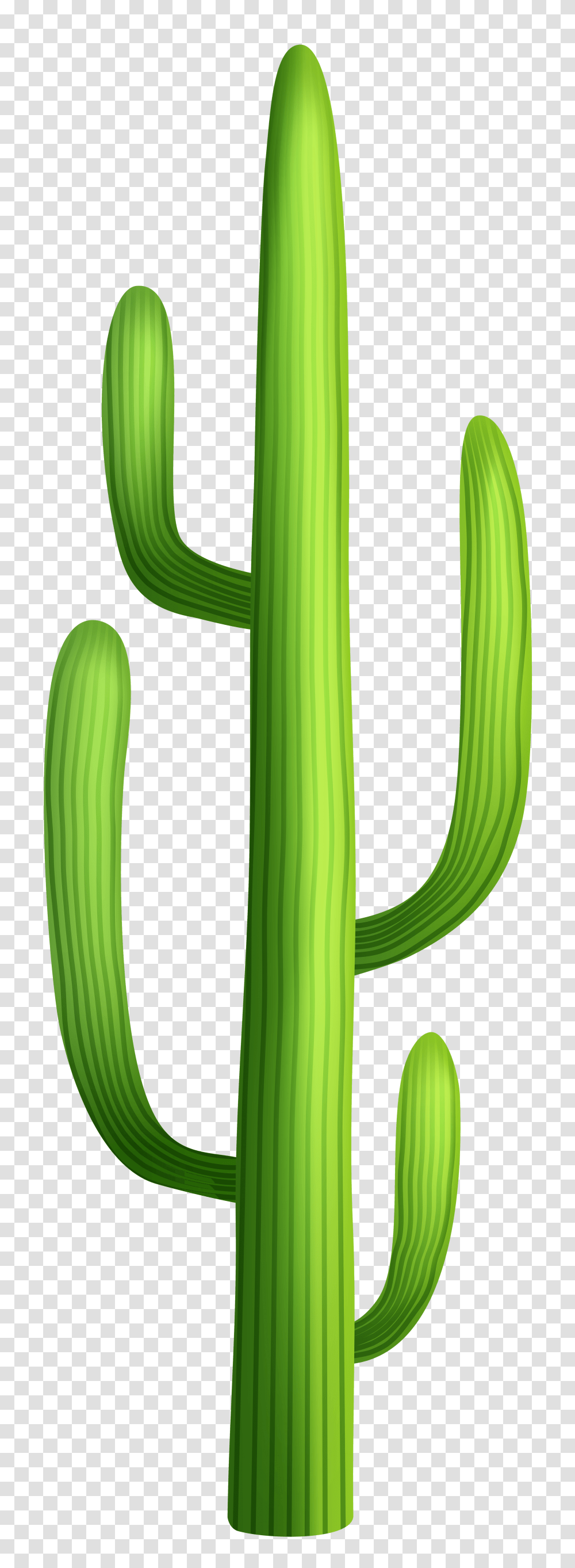 Desert Tree Cliparts, Plant, Cactus Transparent Png