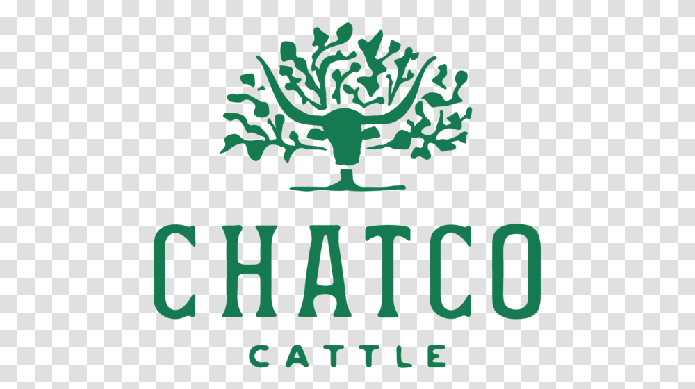 Design By Good South Chatco Cattle Logo Design Illustration, Poster, Advertisement, Alphabet Transparent Png