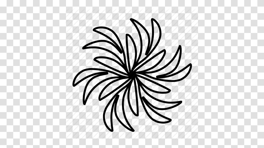 Design Drawing Floral Flower Flowers Ornaments Swirls Icon, Spider Web, Plant, Snowflake Transparent Png