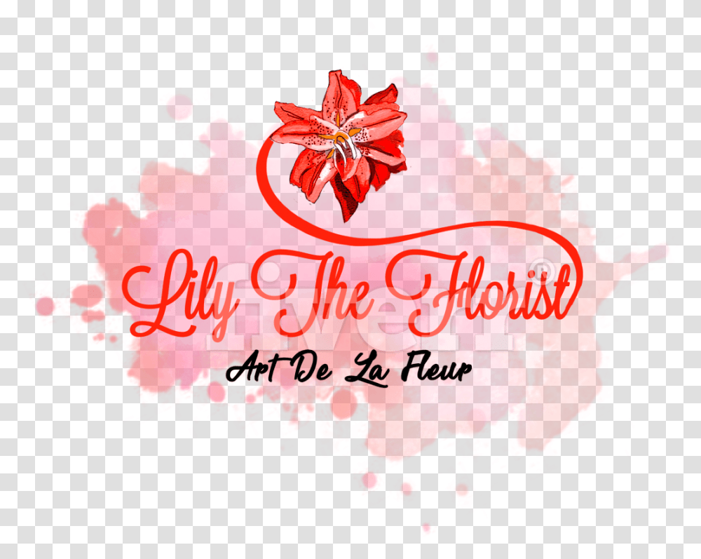 Design Feminine Hand Drawn Watercolor Calligraphy, Graphics, Art, Poster, Advertisement Transparent Png