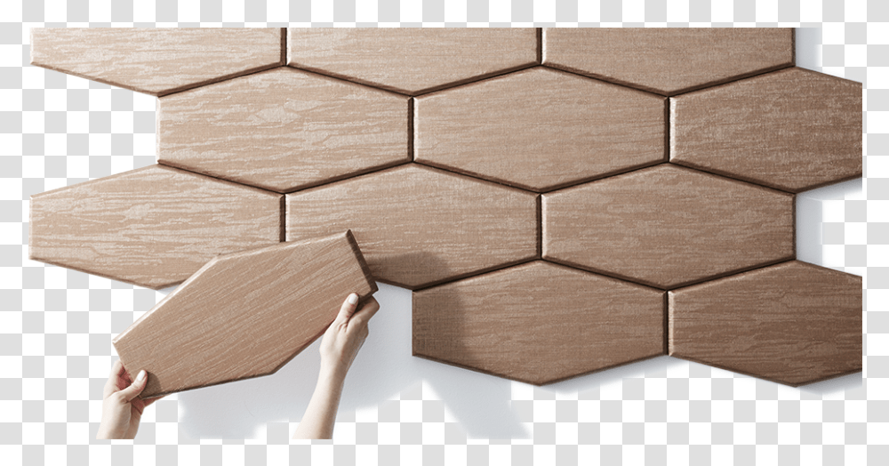 Design Floor, Wall, Person, Human, Cardboard Transparent Png