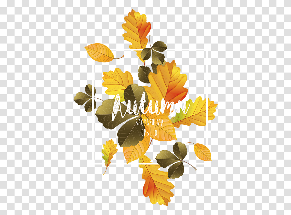 Design, Leaf, Plant, Tree Transparent Png